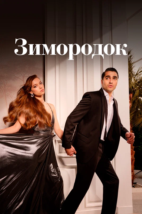 Зимородок (сериал 2022 )